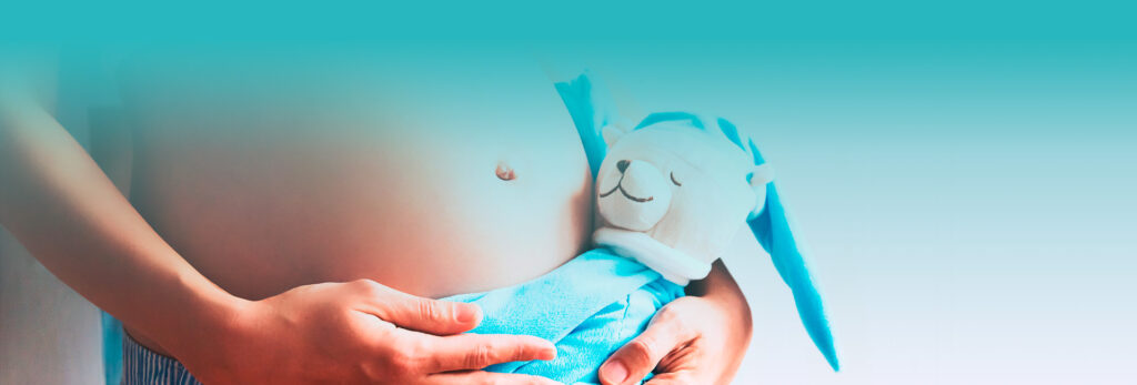 Proyecto FIV Obradors